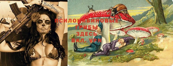 стаф Нефтекумск