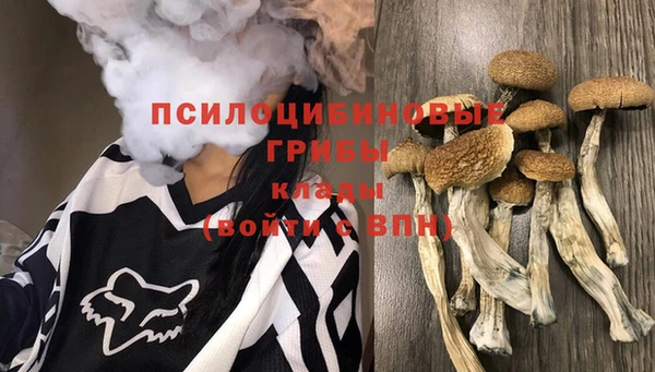 стаф Нефтекумск