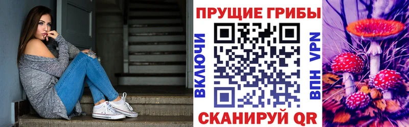 Галлюциногенные грибы MAGIC MUSHROOMS  купить наркотик  Княгинино 